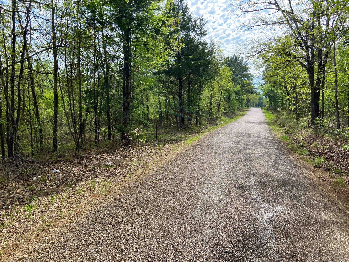 Farris 115 Timber: 00 CR 2215, Daingerfield, TX 75638